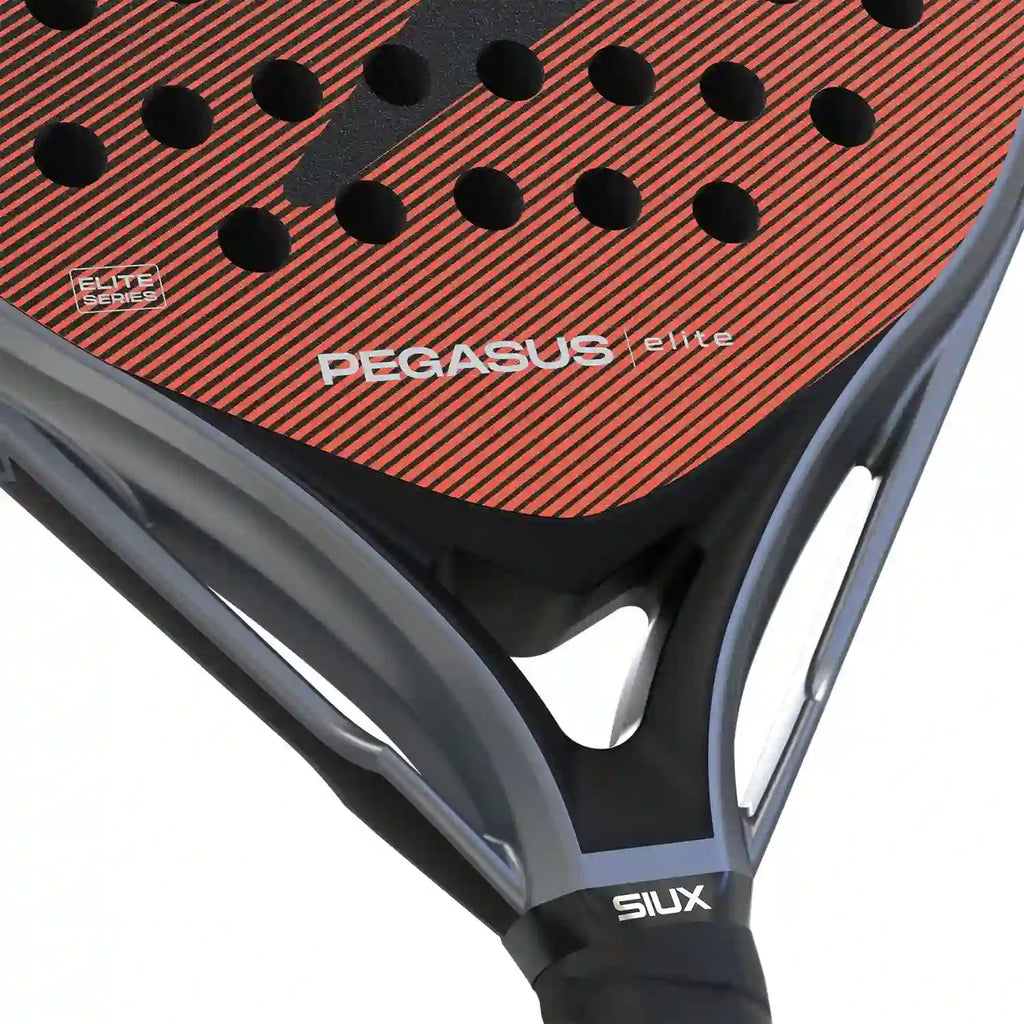 SIUX Pegasus Elite 2026 
